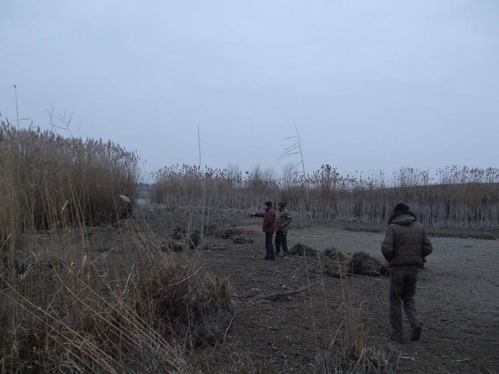 TANCABESTI SECAT - DSCF3460.jpg